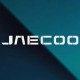 Ключ Джейку (Jaecoo) | Autokeymaster.ru